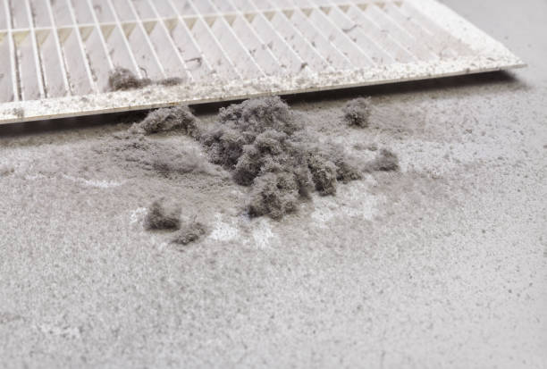 Best Air Duct Cleaning Near Me  in Hamshire, TX