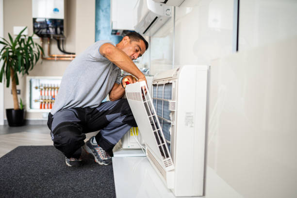 Best Ductwork Cleaning Services  in Hamshire, TX